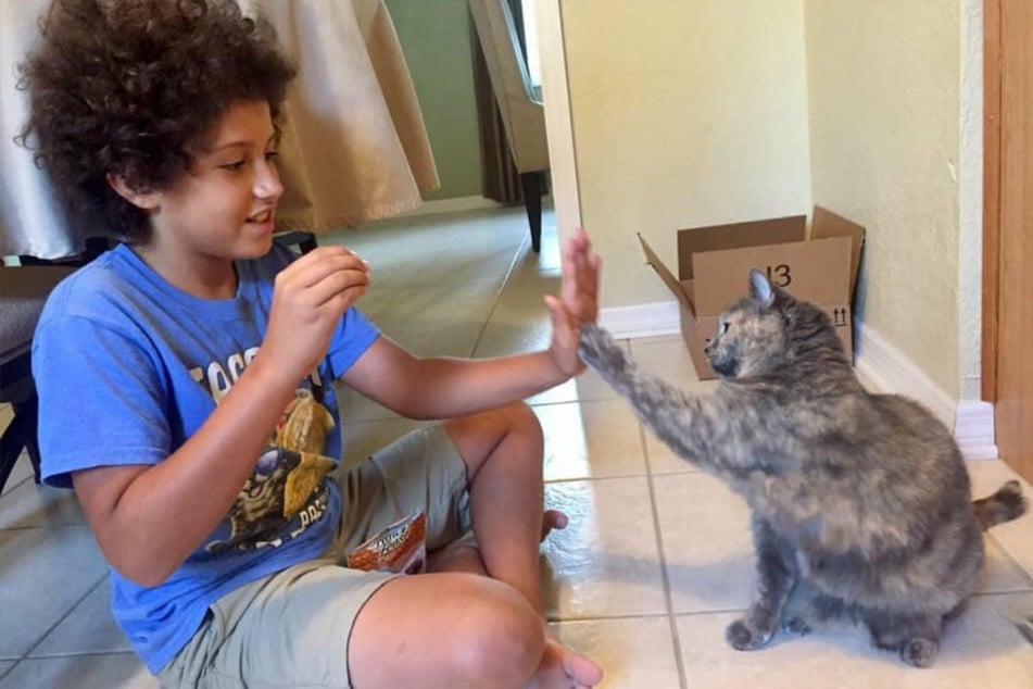 Kaeden rewarded the cats with treats for their cooperation.