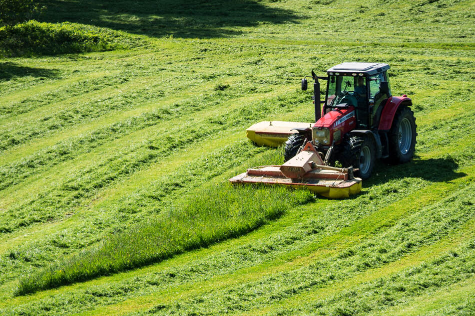 Feierwütige haben Glasflaschen in die Wiese geworfen, die nun voller Scherben ist. Und somit unbrauchbar. (Symbolbild)