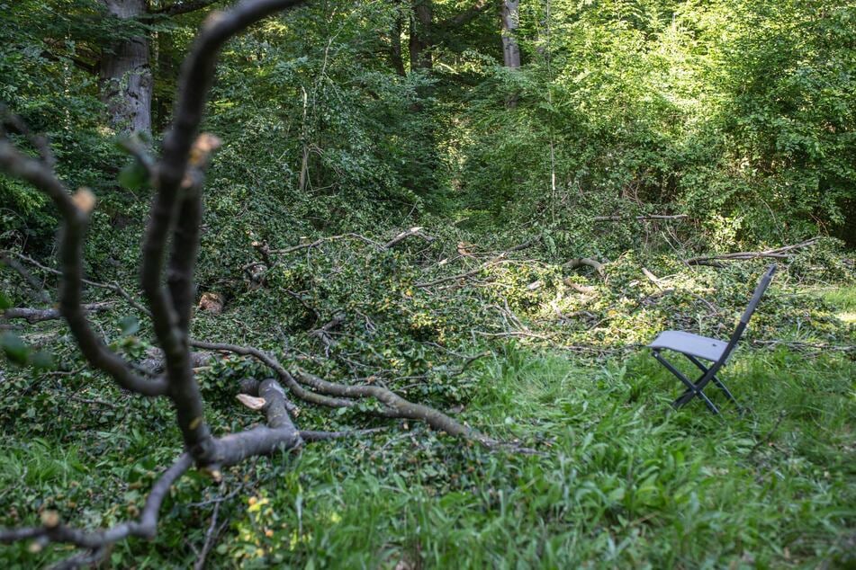 Offenbar wollte die Gruppe Picknicken, als das Unglück passierte.
