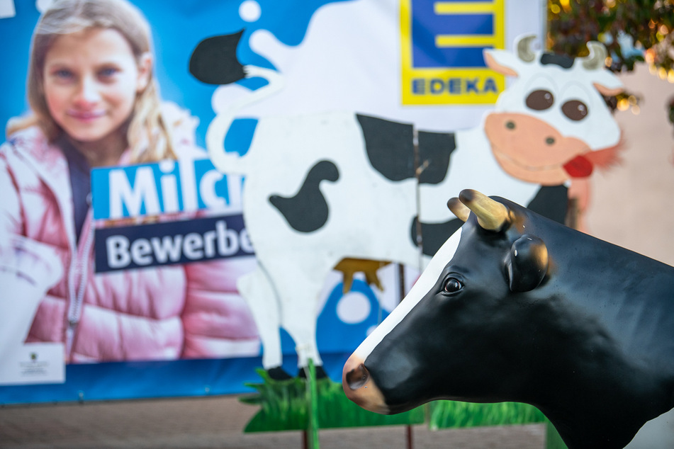 "Milch für Alle": Radio Brocken startet die Milchtour 2023 und besucht wieder die Schulen Sachsen-Anhalts.