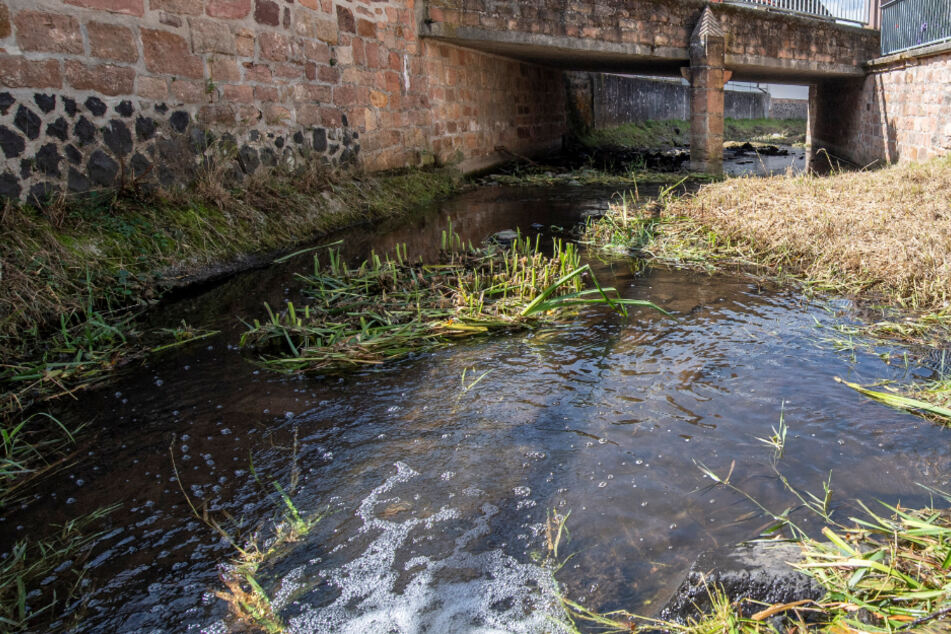Das Foto zeigt den Bach "Bleiche" in der Ortsmitte von Ortenberg-Bergheim, in dem das Krokodil angeblich gesichtet wurde.