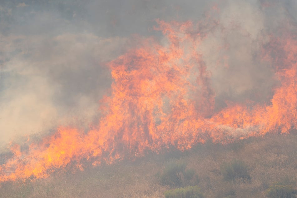 Two firefighters battling a wildfire in Washington w arrestereed by border patrol agents on Wednesday (file photo).
