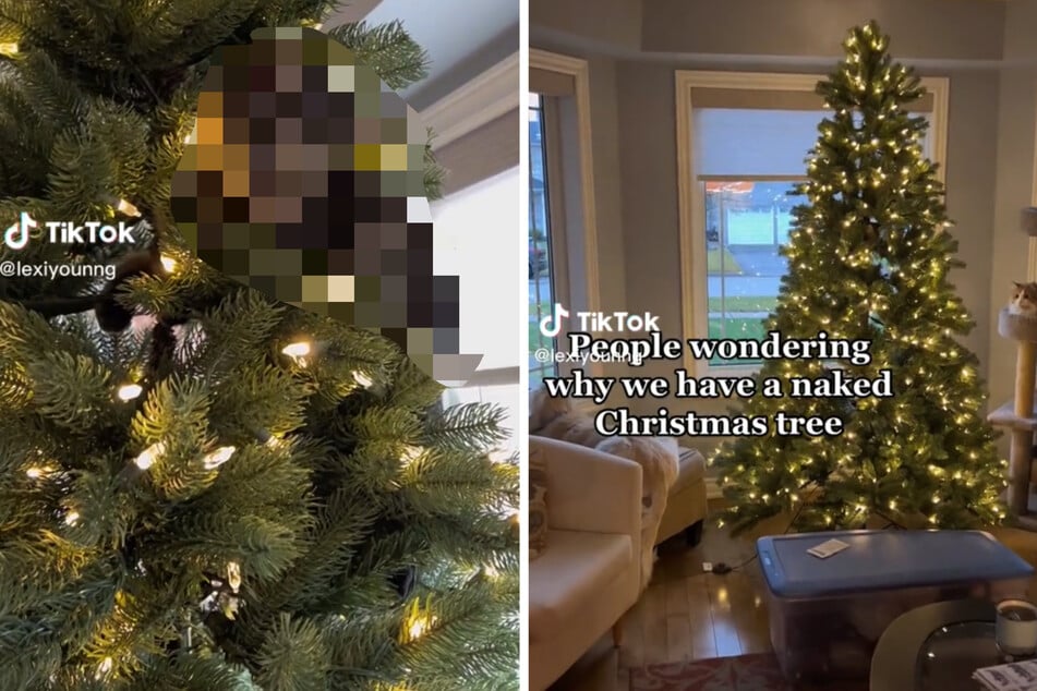 Familie verrät Grund für kahlen Weihnachtsbaum und bringt damit Millionen zum Lachen