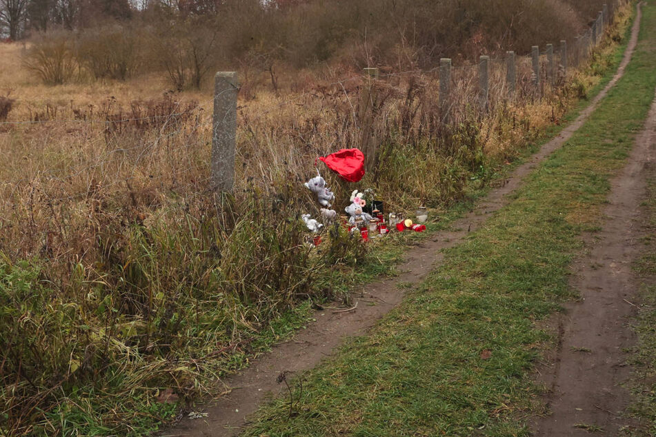 Die Angeklagten hatten die 18-Jährige am 6. Dezember zu einem verwilderten Grundstück einer Kleingartenanlage am Friedhof in Pasewalk gelockt und brutal ermordet.