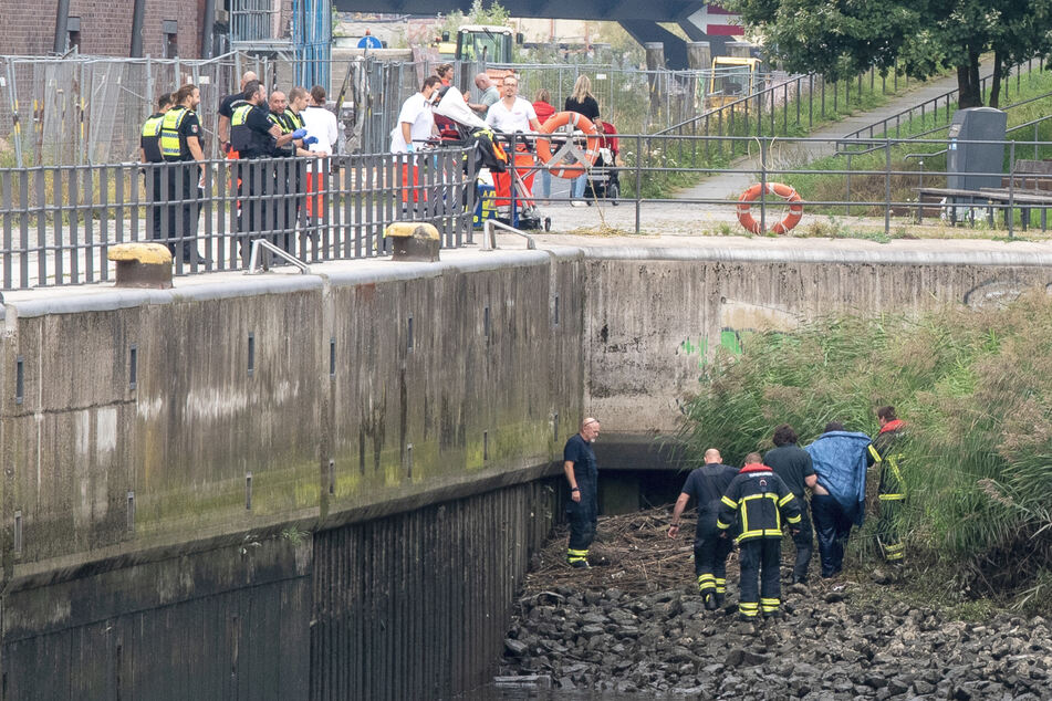 Die Feuerwehr zog den Mann mithilfe eines Rettungsringes aus dem Seitenarm der Elbe.