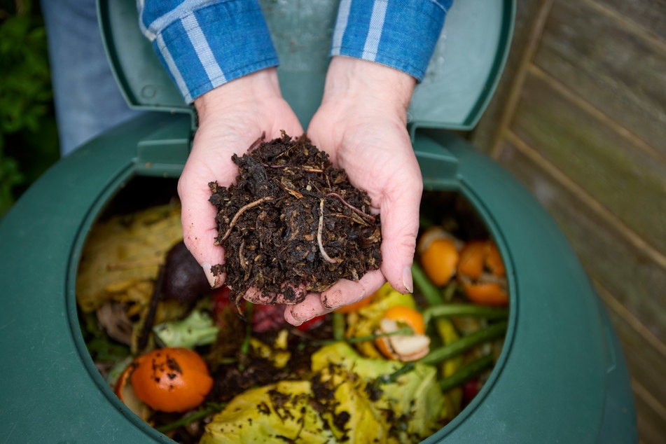 Hilfreich als Dünger sind auch Kompostgaben aus Gartenabfällen.