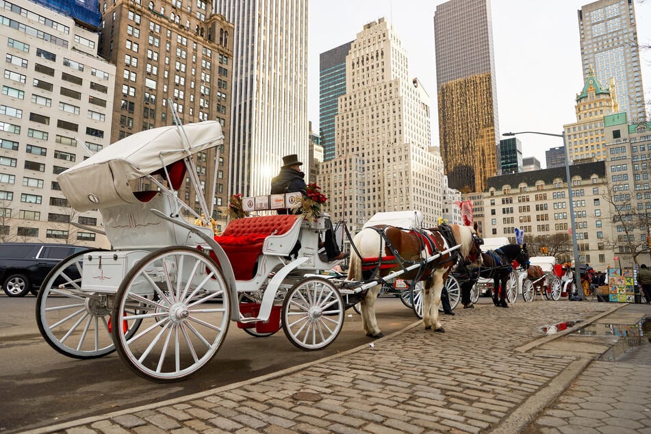 Die Pferdekutschenbranche im New Yorker Central Park blickt auf eine langjährige Historie zurück. Schon seit über 150 Jahren existiert dieses Gewerbe bereits. (Archivbild)