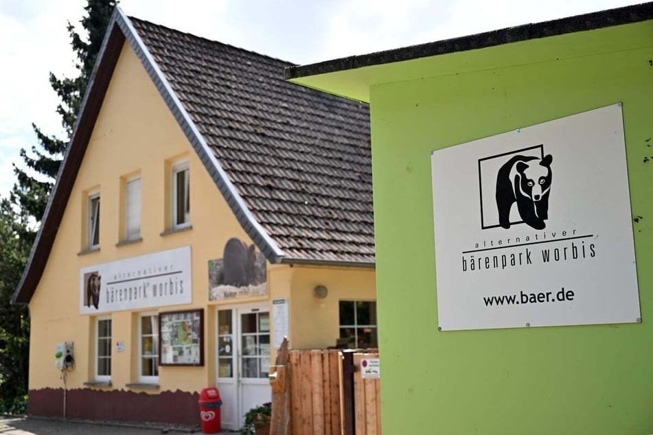 Der Bärenpark Worbis hat sich kreative Angebote für den Feiertag ausgedacht. (Symbolfoto)