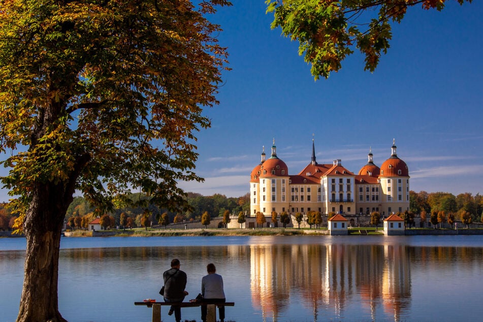 In der Nähe vom Schloss Moritzburg könnt Ihr am Sonntag über einen Trödelmarkt schlendern (Archivfoto)