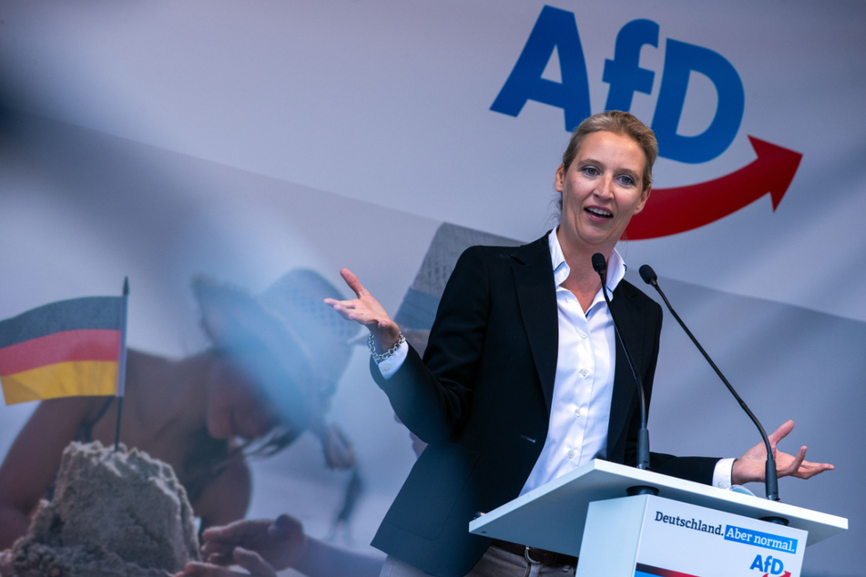 Dieses Ergebnis wird Alice Weidel (42), Spitzenkandidatin der AfD für die Bundestagswahl freuen. Ihre Partei ist bei Kindern und Jugendlichen die beliebteste Partei.