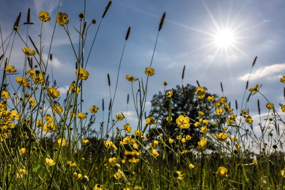 Der Himmel bleibt klar, ein paar Tropfen Regen werden frühestens am Wochenende erwartet. (Symbolfoto)