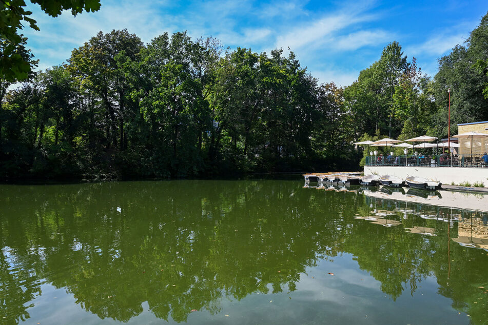 Den Carolasee sollte man aktuell lieber nicht berühren.
