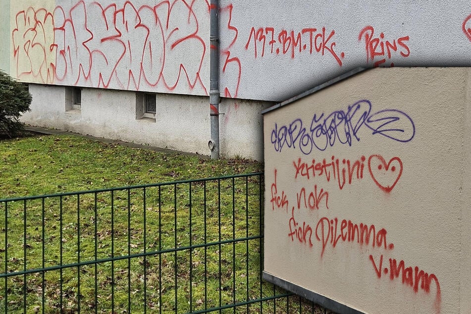 Graffiti-Sprayer rastet aus: 38-Jähriger greift Polizei an und wird festgenommen