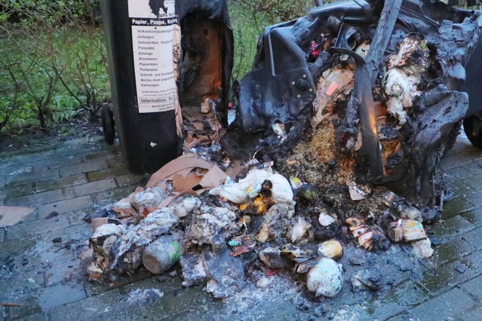 Im Chemnitzer Ortsteil Kappel brannten mehrere Abfallcontainer. (Archivfoto)