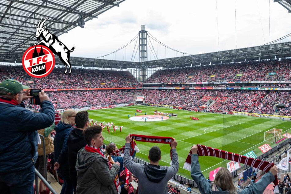 Fans haben entschieden! 1. FC Köln darf sich über diesen Titel freuen