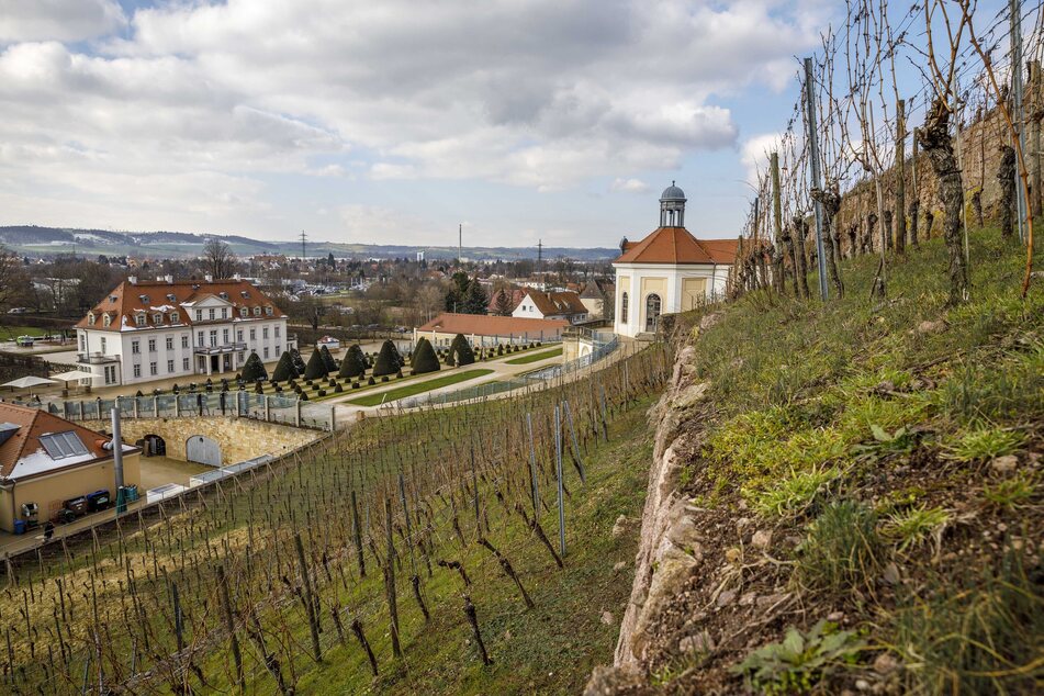 Auf Schloss Wackerbarth findet der Sektfrühling statt.