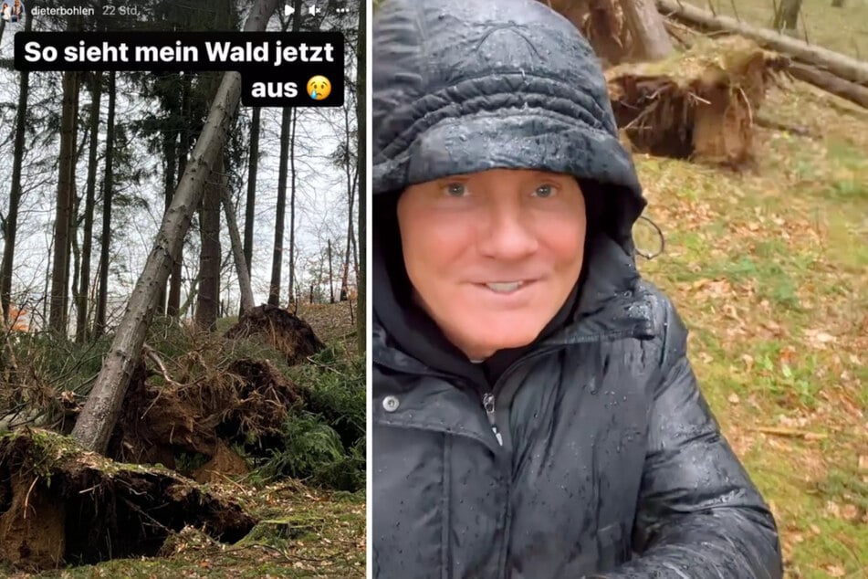 Auf Instagram zeigt Dieter Bohlen (68) die Sturmschäden auf seinem Grundstück.