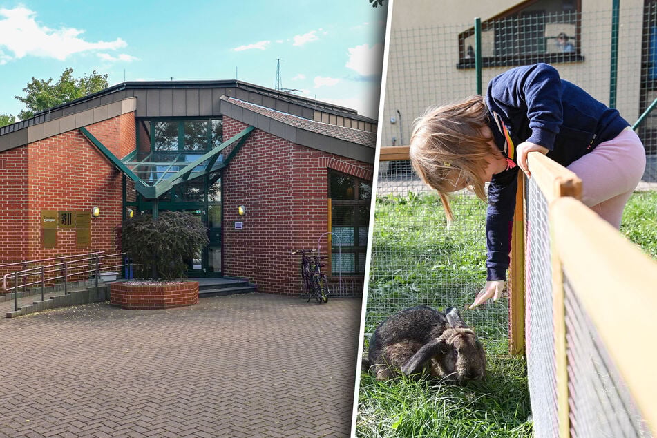 Dresden: Erfolgreicher "Tag des offenen Tierheims": Neues Zuhause für fast 100 Bewohner!