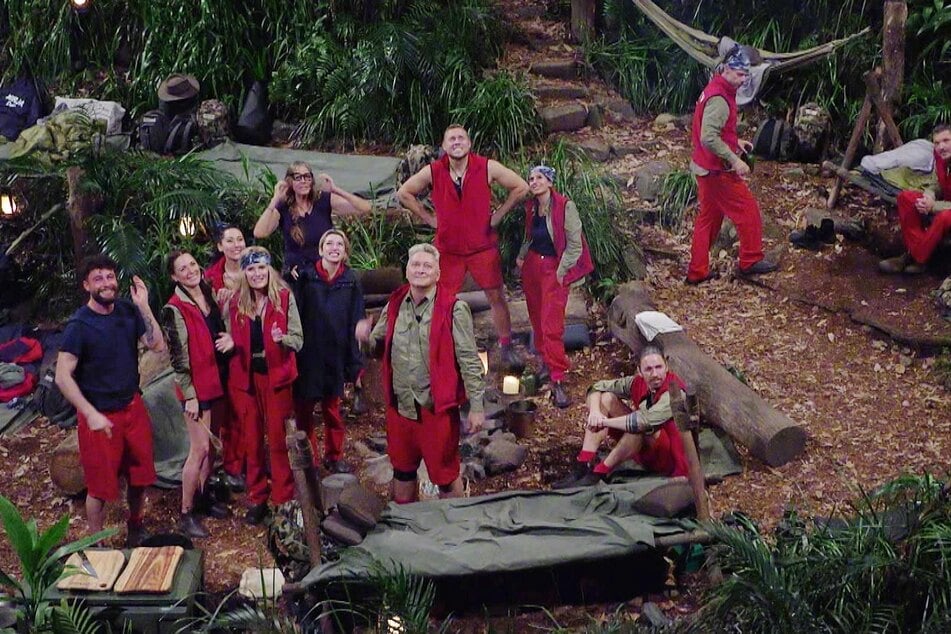 Von den Teilnehmern der 19. Staffel "Ich bin ein Star - Holt mich hier raus!" hält Stefan Raab offenbar nicht gerade viel.