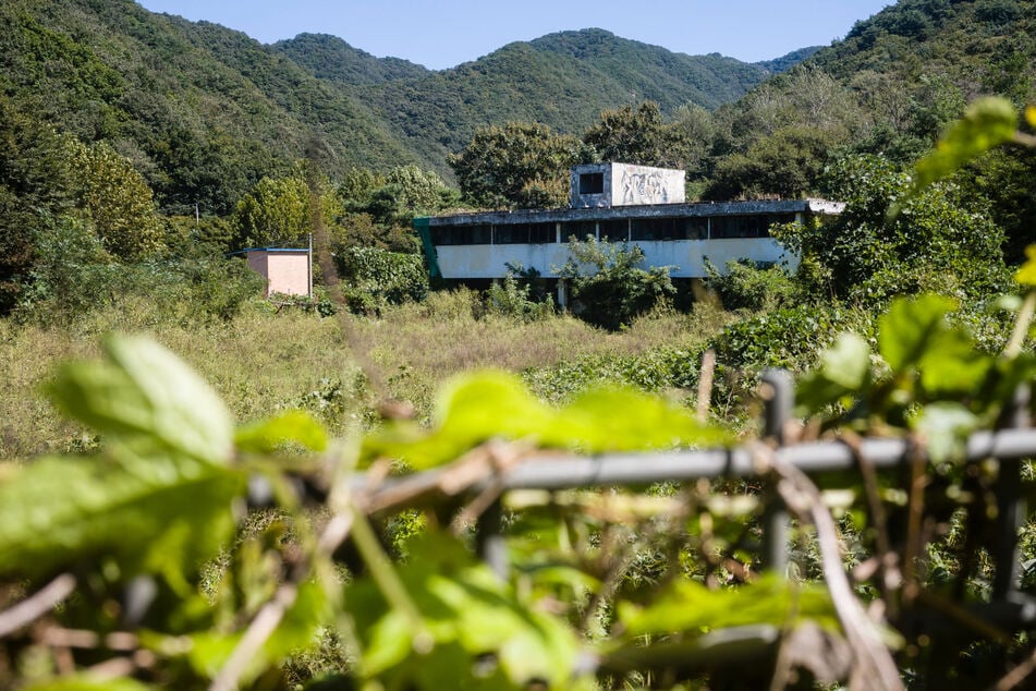 Slated for demolition, the graffiti-covered building close to the inter-Korean border was once a "monkey house," a clinic for sex workers forced to serve US soldiers protecting Seoul from North Korea.