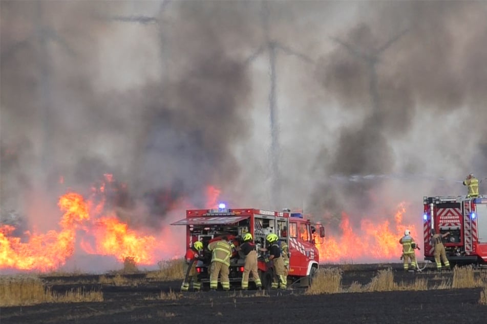 Drehender Wind erschwert Einsatz: Mehr als 20 Hektar Getreide verbrennen
