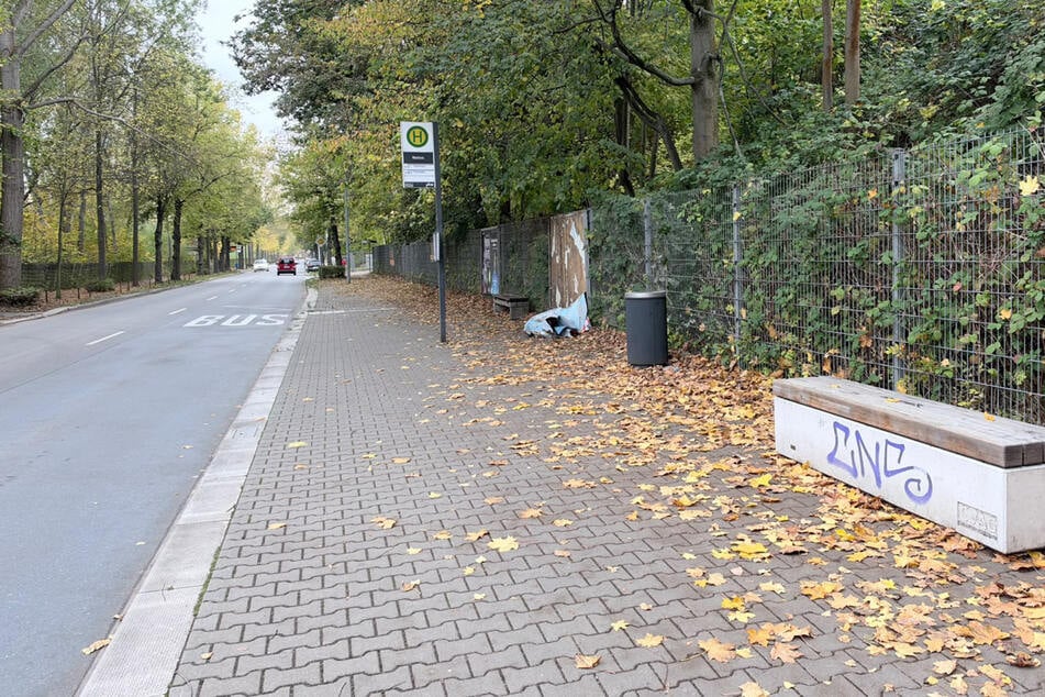 Chemnitz: Nach Sex-Überfall in Chemnitz: Polizei sucht weitere Zeugen