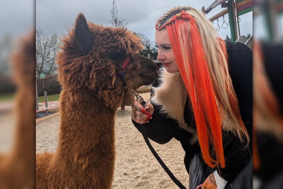 Lyn Künstner (34) auf Kuscheltier: Zusammen mit den Alpakas Zschonergrund Dresden hat die Influencerin nun einer Kita einen Besuch abgestattet.