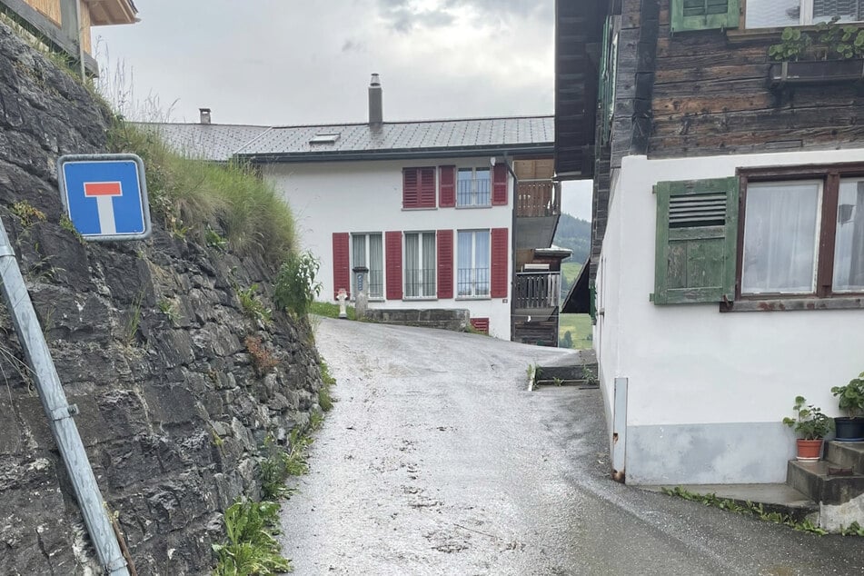 In der Schweiz kam eine 91-Jährige beim Alpauftrieb ums Leben.
