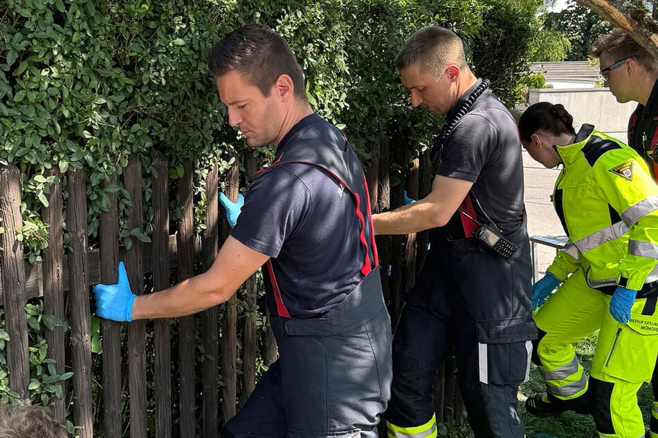 Ein 86-Jähriger ist in München von einer Leiter gestürzt und zwischen Hecke und Zaun eingeklemmt worden. Die Feuerwehr befreite ihn – unverletzt.