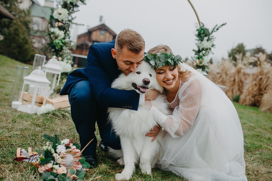 Hunde auf Hochzeiten sind keine Seltenheit. Frauchen und Herrchen sollten allerdings einige Dinge beachten und vorbereiten. (Symbolbild)