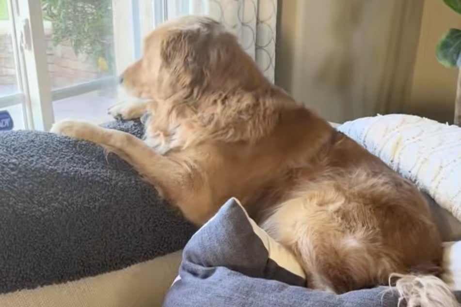 Abbey wartet inzwischen vergeblich auf Ed.