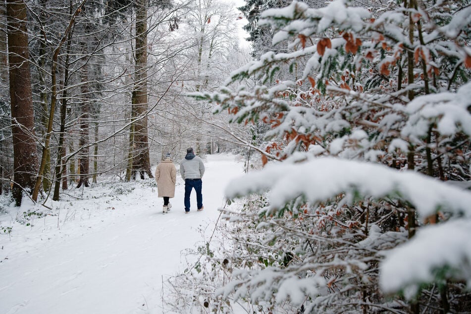 Für einen Winterspaziergang sollte man sich in Baden-Württemberg gut einpacken.