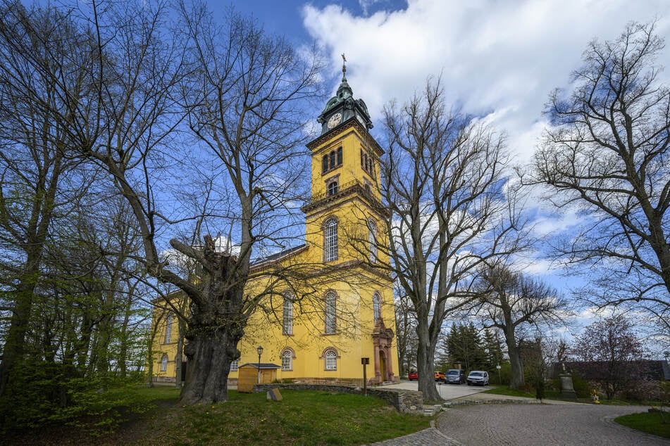 In der Stadtkirche St. Petri erklingen ab Herbst eine Haupt- und fünf Teilorgeln. Foto: Ralph Kunz