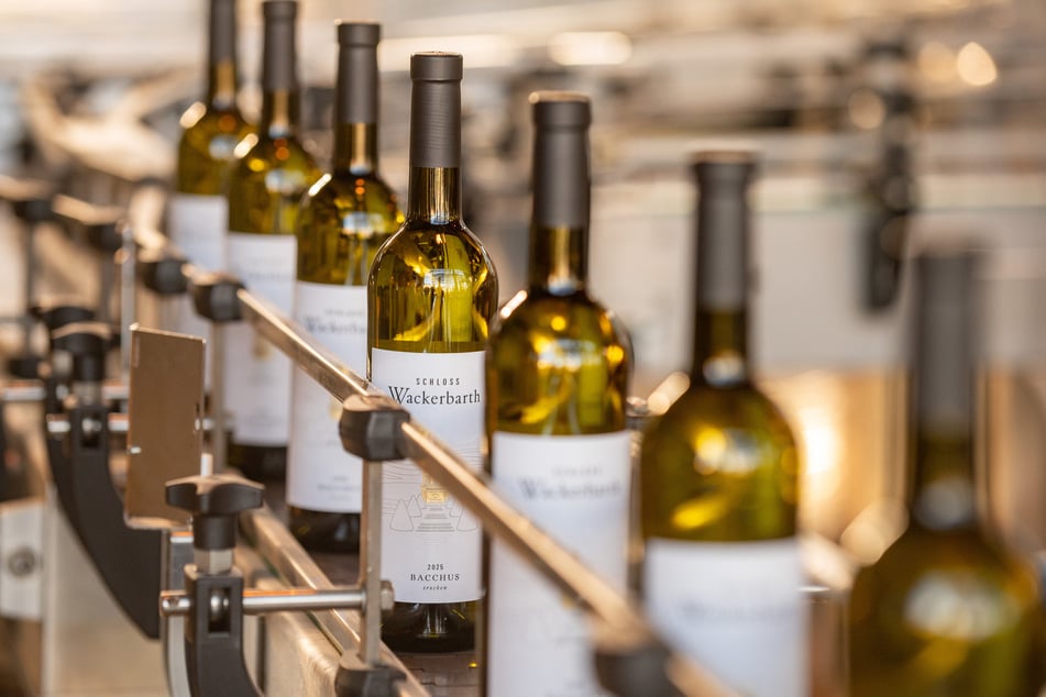 Wer wissen möchte, wie die Weine von Schloss Wackerbarth hergestellt werden, sollte an einer Weinführung teilnehmen.