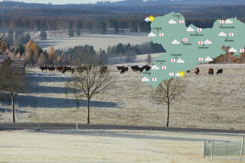 Frostige Temperaturen: In Sachsen sollte man sich diese Woche warm anziehen