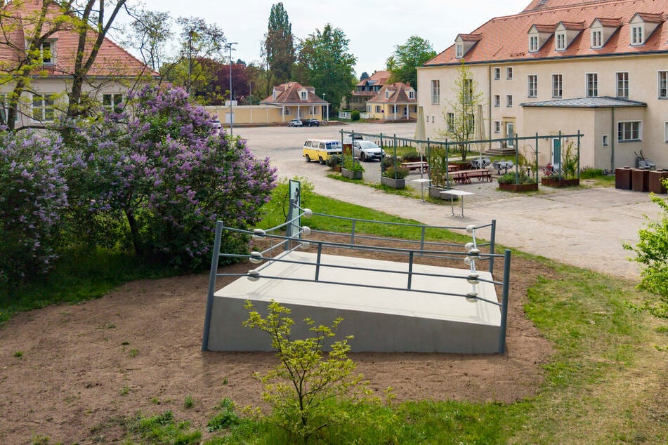 Der alte und neue Standort neben dem Festspielhaus Hellerau stößt auch auf Kritik.