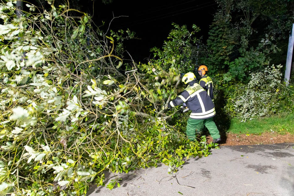 Feuerwehreinsatz auf der B180 bei Thalheim (Erzgebirge): Die Einsatzkräfte mussten einen umgestürzten Baum von der Bundesstraße entfernen.