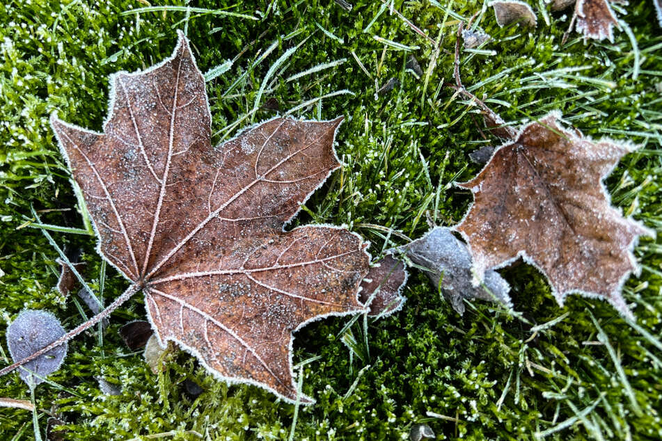 Gerade in der Nacht wurde es bitterkalt. (Symbolbild)