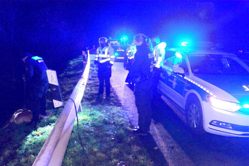 Einsatzkräfte der Polizei suchen mit Spürhunden den Bereich um den Unfallort ab, um den flüchtigen Fahrer zu finden.