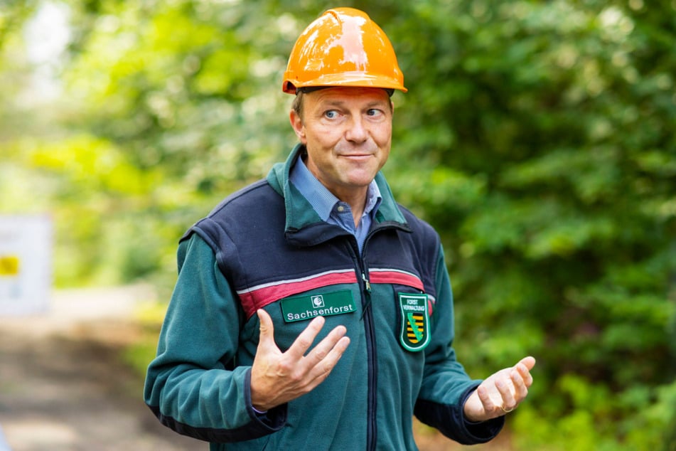 Umweltminister Wolfram Günther (48, Grüne) setzt auch auf die Naturverjüngung des Waldes.