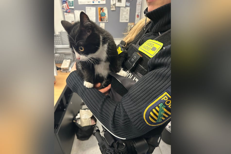 Auf dem Revier zeigte sich der Delinquent dann doch von seiner kuschligen Seite.