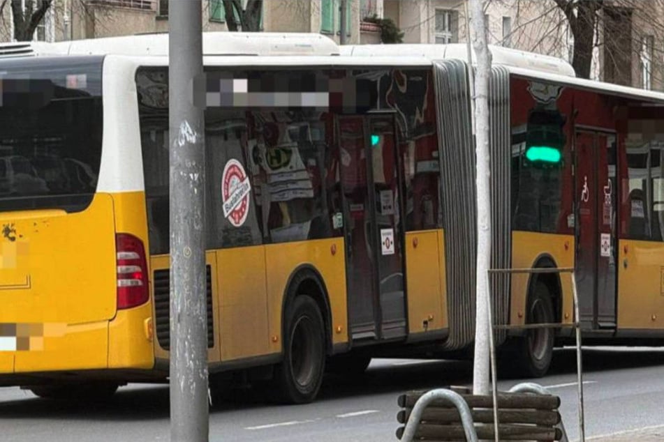 Auch von der Seite gesehen weist der große Gelbe einen gehörigen Knick auf.