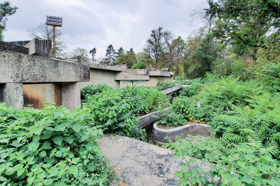 Krefeld: Blick auf die Brandruine des Affenhauses im Zoo Krefeld.