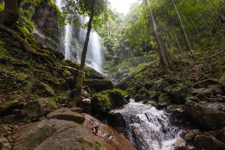 Im Dschungel von Malaysia gibt es noch unberührte Natur, so wie den Kooi Wasserfall im Royal Belum State Park.