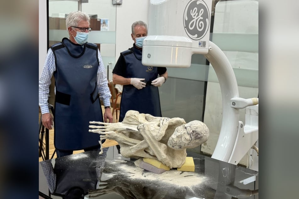 Ufologen wollen die Wesen gründlich untersuchen.