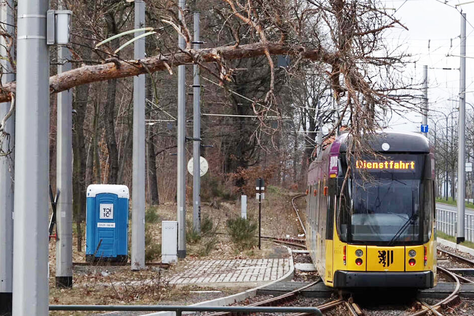 Baum stürzt auf Oberleitung und legt komplette Straßenbahn-Linie lahm