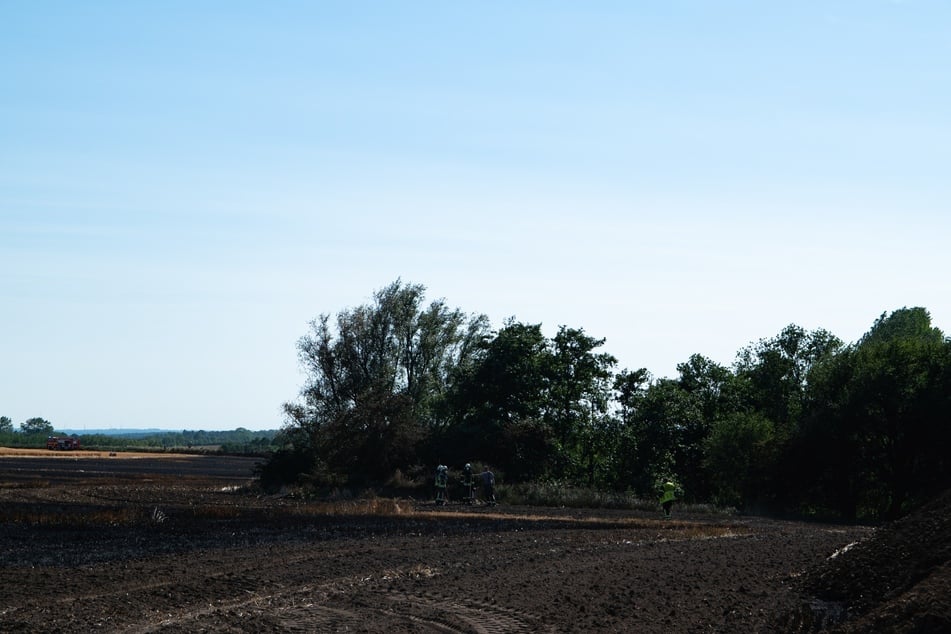14 Hektar Getreidefeld fängt Feuer: Wasserversorgung gestaltet sich als schwer