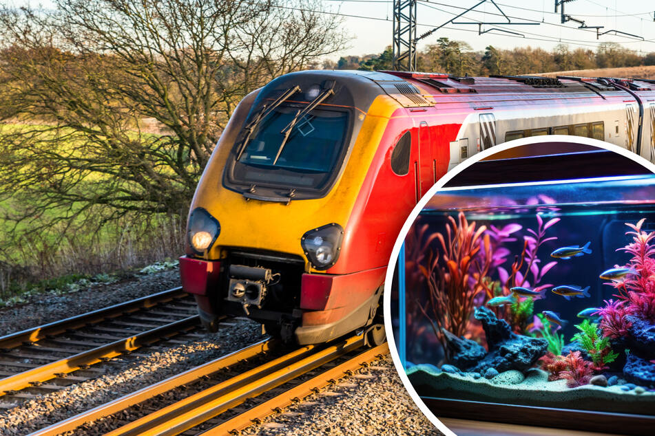 Schwimmende Passagiere: Mann fährt mit vollem Aquarium im Zug