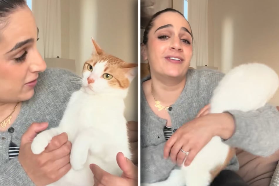 Fifi Furrha ist in einem zweiten Clip wieder so gemein. Diesmal ärgert sie Katze Princess, die ziemlich schnell fliehen will.