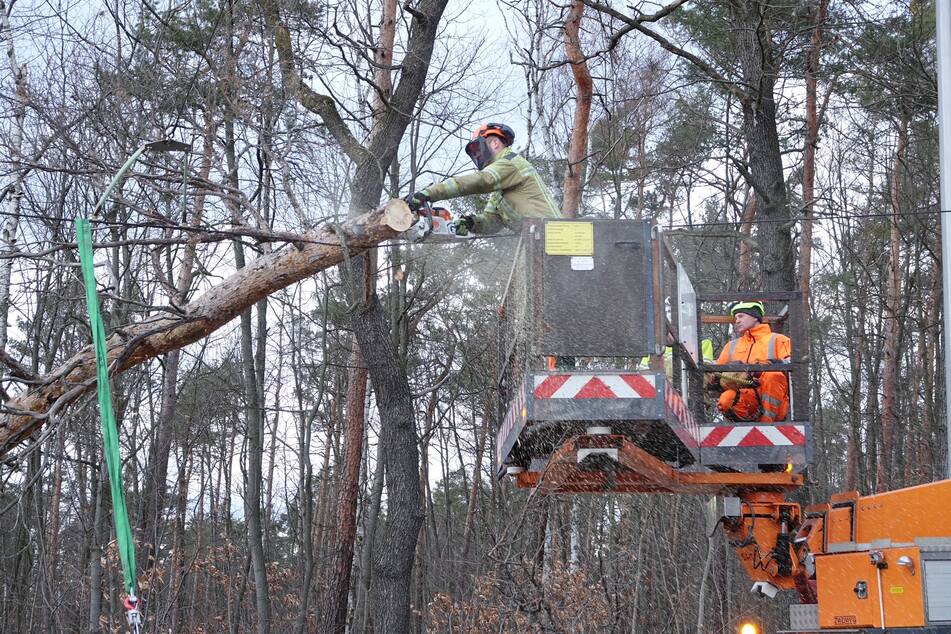 Ein Fachmann zersägte den Baum kurzerhand und so konnte die Bahnstrecke bald wieder freigegeben werden.